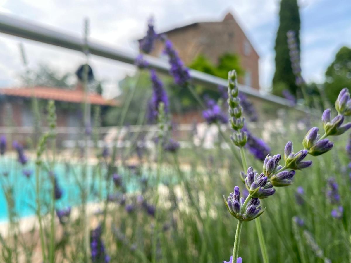 La Bacaia Villa Marciano della Chiana Kültér fotó